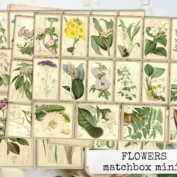 FLOWERS MATCHBOX MINIS 59 pieces flower ephemera us letter & din a4, botanical print set, ephemera junk journals, vintage flower mini tags