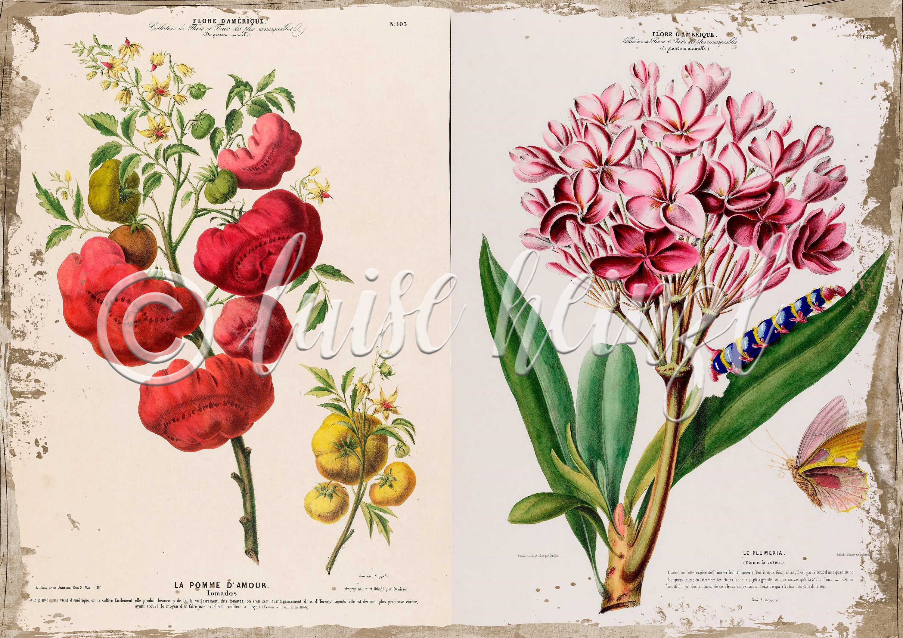 Vintage Floral Book Pages for Junk Journals, Digital Download Flower ...