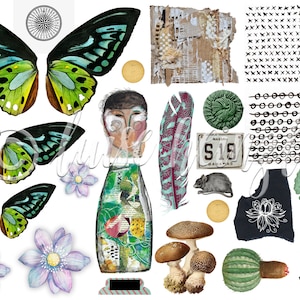 Op de afbeelding: Een collage van gemengde media kunst met vlinders, paddenstoelen, een veer, een fles met een gezicht, een ginkgo blad, een cactus, een hoed en een kentekenplaat met de tekst "S18 Bahamas".