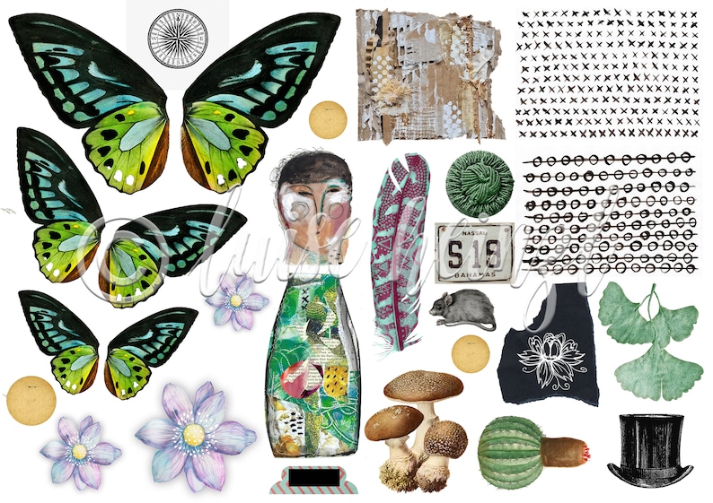 Op de afbeelding: Een collage van gemengde media kunst met vlinders, paddenstoelen, een veer, een fles met een gezicht, een ginkgo blad, een cactus, een hoed en een kentekenplaat met de tekst "S18 Bahamas".