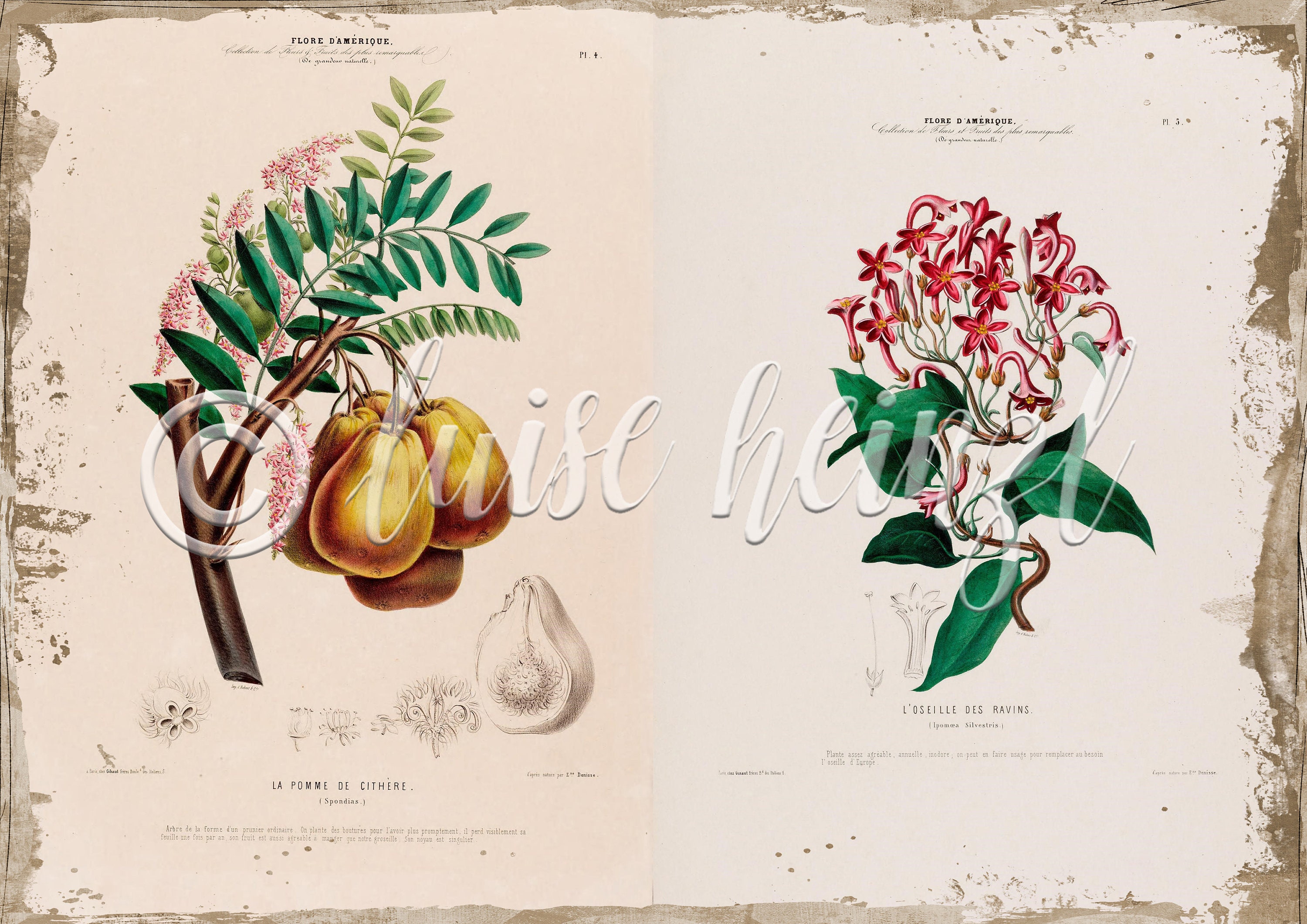 Vintage Floral Book Pages for Junk Journals, Digital Download Flower ...