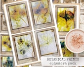 BOTANICAL PRINTS ephemera pack f. junk journal, journaling Karten, botanisch, print, vintage & bunte Pflanzenkarten 8,5x11, digital download