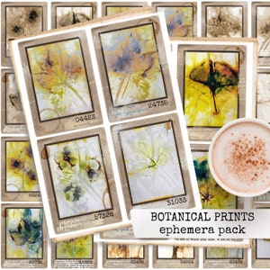 BOTANISCHE PRINTS ephemera pack voor junk journal, journaling cards, botanisch, print, vintage & kleurrijke plantkaarten 8.5x11, digitale download
