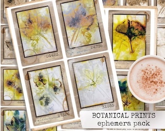 BOTANICAL PRINTS  journaling cards, botanical print set, ephemera for junk journals, vintage & colorful botanical journaling cards  8,5x11