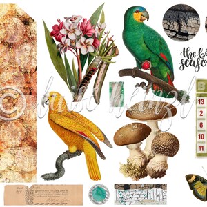 junk journal ephemera DIY tag kit, create own embellishments tags, collage sheet scrapbook, gluebook, whimsical flower bird ephemera image 3