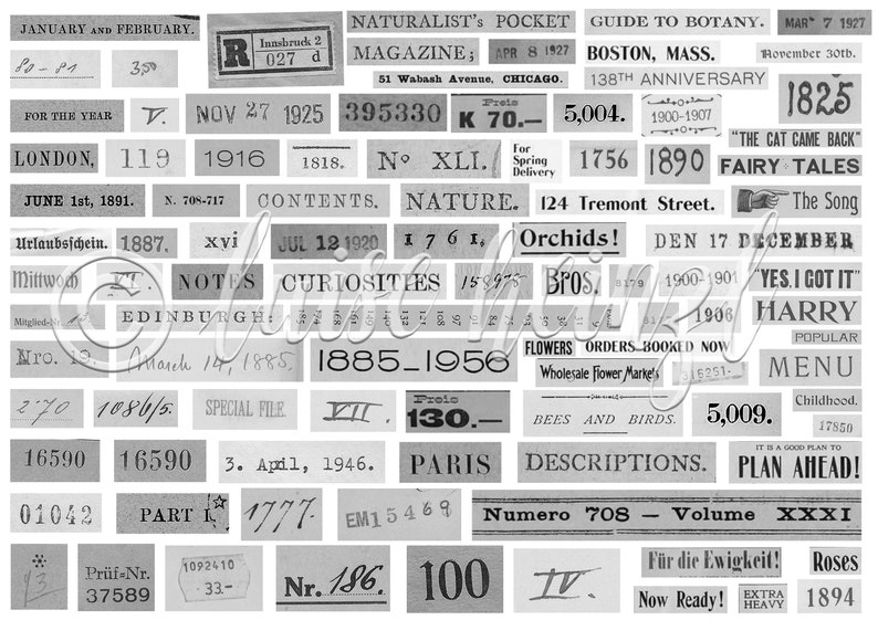 RANDOM NUMBERS & PHRASES zufällige Zahlen und Wörter vintage Ephemera für Junk Journals und Scrapbooks, Basteln, Collage Papier Bild 4
