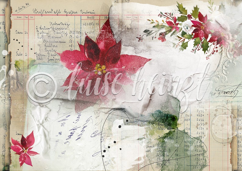 Op de afbeelding: Een digitaal papier in vintage stijl met een rode kerststerbloem met groene bladeren, een witte achtergrond met een vervaagde textuur en de tekst "luise heinz" in een cursief schrift.