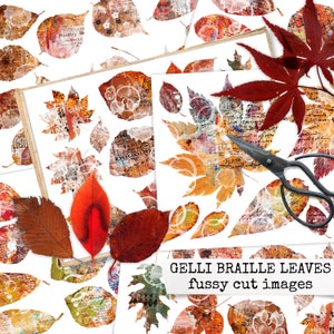 GELLI BRAILLE LEAVES fussy cutting images, autumn ephemera for junk journals, bullet journals & scrapbook, fall images for journaling cards