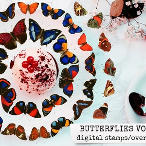 digital stamps, photoshop overlay, butterfly cliparts for digital designers, junk journals, gluebooks, bullet journal & scrapbook