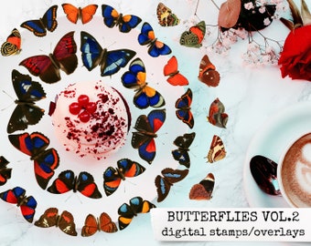 digital stamps, photoshop overlay, butterfly cliparts for digital designers, junk journals, gluebooks, bullet journal & scrapbook