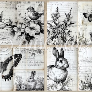 K&ouml;nnte beinhalten: Schwarz-Wei&szlig;-Collage mit Illustrationen von V&ouml;geln, Schmetterlingen, Kaninchen und floralen Elementen. Das Kunstwerk ist vor einem Hintergrund aus Vintage-Papier mit handschriftlichem Skript und Rasterlinien angeordnet.