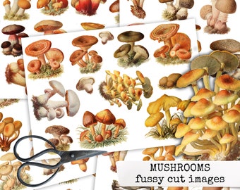 fussy cutting images vintage mushrooms, ephemera for junk journals, bullet journals & scrapbook, images for decorating journaling cards