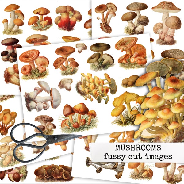 fussy cutting images vintage mushrooms, ephemera for junk journals, bullet journals & scrapbook, images for decorating journaling cards