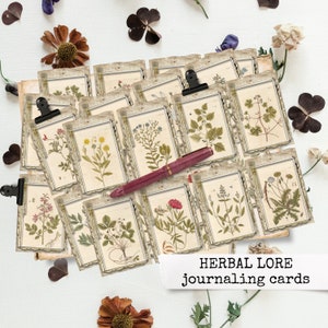 Cartões de diário HERBAL LORE, carta dos EUA, conjunto de impressão botânica, coisas efêmeras para diários indesejados, cartões de diário botânico vintage 8,5 x 11