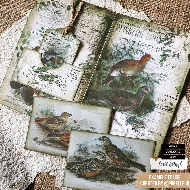 May include: A vintage style collage featuring images of birds, flowers, and text. The text includes "Reinberg Bros. Wholesale Growers Cut Flowers" and "SMILAN PLANTS, CA".
