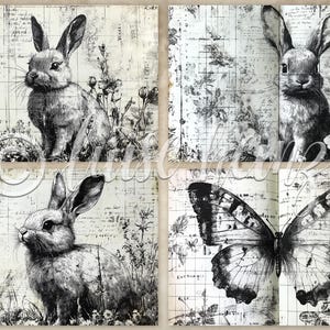 K&ouml;nnte beinhalten: Schwarz-Wei&szlig;-Collage mit Kaninchen und einem Schmetterling. Die Bilder haben eine Vintage-&Auml;sthetik mit Schrift- und floralen Elementen. Die Kaninchen-Illustrationen sind detailliert, und der Schmetterling hat komplizierte Fl&uuml;gelmuster.