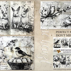 May include: A digital printable ephemera pack with 7 pages of black and white images featuring birds, bunnies, and eggs. The images are perfect for scrapbooking, card making, and other crafting projects.