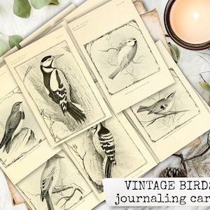 VINTAGE BIRDS pássaros vintage, cartões de registro no diário, coisas efêmeras para diário de lixo, diário de lixo para impressão, coisas efêmeras para impressão digital 21x29,7