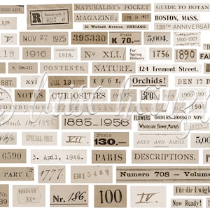 RANDOM NUMBERS & PHRASES zufällige Zahlen und Wörter vintage Ephemera für Junk Journals und Scrapbooks, Basteln, Collage Papier Bild 3