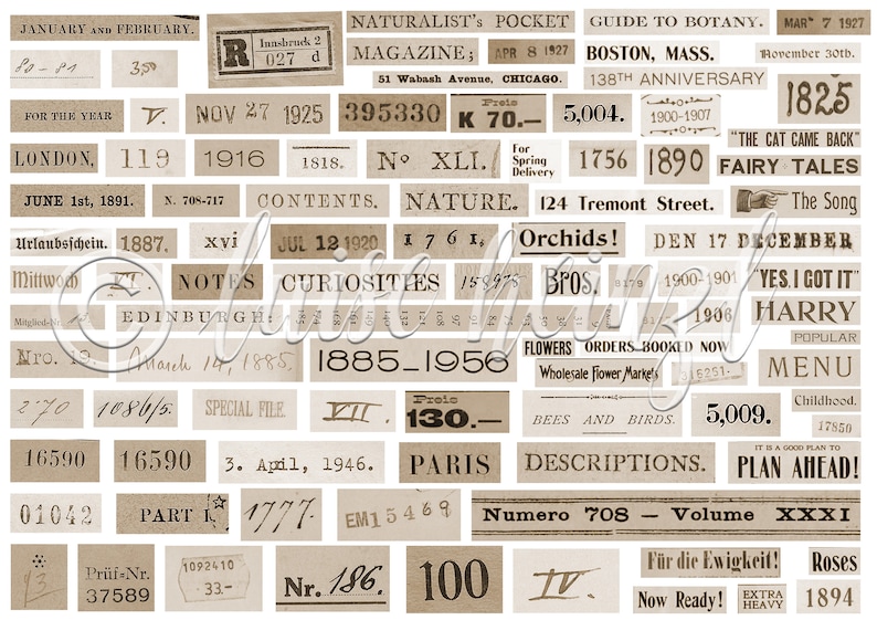 RANDOM NUMBERS & PHRASES zufällige Zahlen und Wörter vintage Ephemera für Junk Journals und Scrapbooks, Basteln, Collage Papier Bild 3