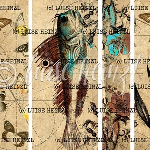 May include: A vintage style collage featuring a stylized fish, butterflies, and botanical illustrations. The background is a textured paper with a faded, antique look. The image includes the text "(c) LUISE HEINZL".