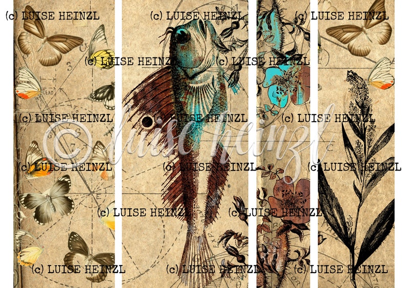 May include: A vintage style collage featuring a stylized fish, butterflies, and botanical illustrations. The background is a textured paper with a faded, antique look. The image includes the text "(c) LUISE HEINZL".