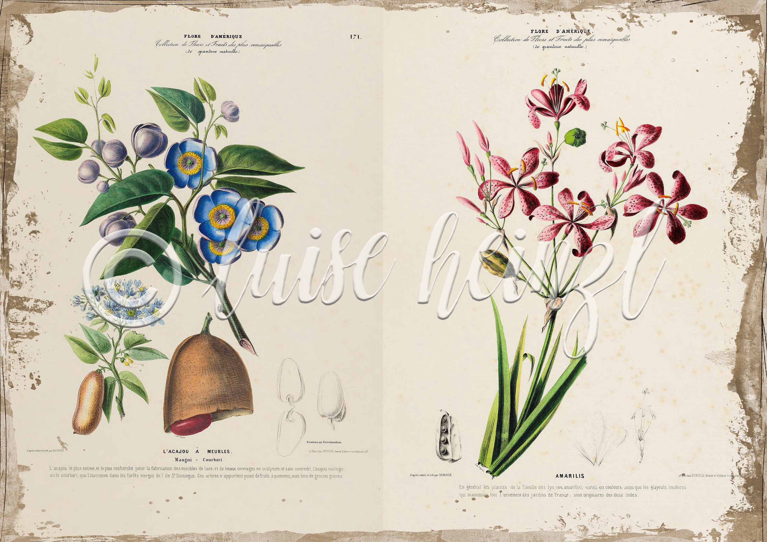 Vintage Floral Book Pages for Junk Journals, Digital Download Flower ...