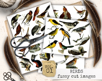 PÁJAROS QUISQUILLOSOS CUT Birds Cut Out, Cut Out Sheet Birds, Collage Paper Birds, Vintage Bird Ephemera, Pictures for Junk Journal, Scrapbook