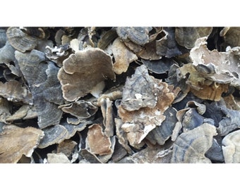 Dried Wild USA Turkey Tail Mushrooms and Powder 2026 Crop