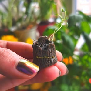 May include: A small, brown, tree stump-shaped planter with a single green plant growing out of it. The planter is being held in a hand with gold and purple nail polish.