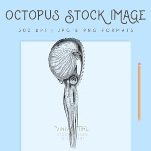 Clipart Octopus image, octopus clip Art, sealife clipart, nautical Printable, Instant Download, marine clipart, argonaut digital download