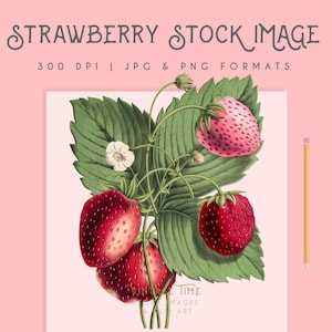 Strawberry clipart image graphic, Instant Download, strawberry print, fruit clipart, strawberry graphic, home decor, fruit wall art