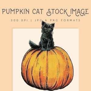 Halloween Pumpkin & Cat clipart image, Instant Download cat print, cat clip art commercial use  graphic, home decor, cat wall art, scrapbook