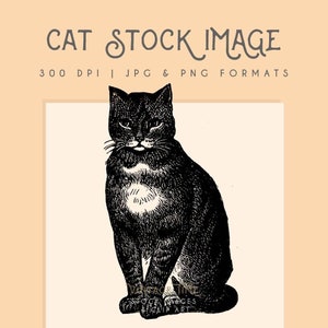 Black and white cat clipart image, Instant Download cat print, cat clip art  graphic, home decor, scrapbooking, cat wall art, halloween