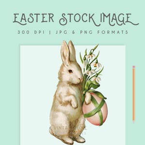 Vintage Weiße Hase Zeichnung Illustration Clipart Digital Download Wand Kunst Ostern Karte
