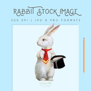 Vintage White Rabbit Easter Clip Art Stock Image Illustration Graphic 300dpi Digital Download