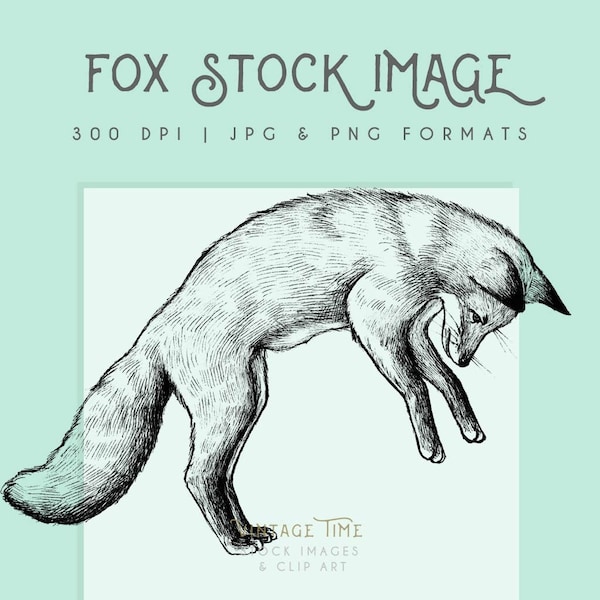 Fox clipart image, Instant Download, fox print, fox clip art, commercial use, home decor, scrapbooking, fox wall art, black & white print