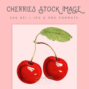 Cherries clipart image graphic, Instant Download, cherry print, fruit clipart, cherry graphic, home decor, fruit wall art, scrapbooking