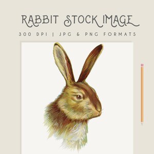 Vintage Rabbit clipart image, rabbit print, Easter print, Drawing Illustration Clipart Digital Download Wall Art, home decor, commercial use