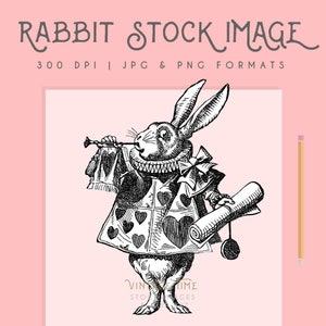 Alice in Wonderland Clipart Rabbit image, Rabbit Clip Art, Rabbit Printable, Instant Download, easter bunny, rabbit print, digital download