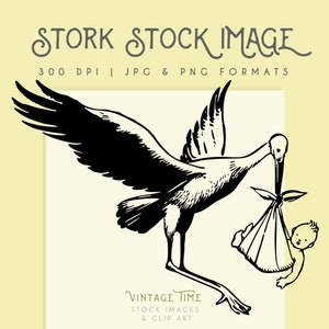 Clipart Stork & Baby image, Digital Download, Wall Art, Stork Graphic, Instant Digital Download, home decor, commercial use, stork logo