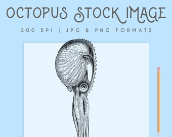 Clipart Octopus image, octopus clip Art, sealife clipart, nautical Printable, Instant Download, marine clipart, argonaut digital download