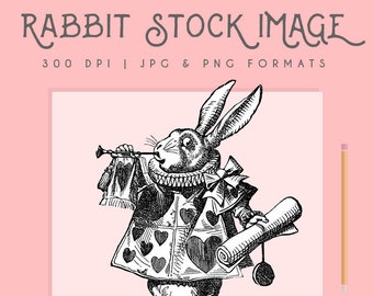 Alice in Wonderland Clipart Rabbit image, Rabbit Clip Art, Rabbit Printable, Instant Download, easter bunny, rabbit print, digital download