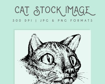 Cat clipart image, Instant Download cat print, cat clip art commericial use cat graphic, home decor, scrapbooking cat wall art, cat picture