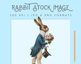 Vintage Rabbit Clip Art Stock Image Wall Art Printable Illustration 300dpi