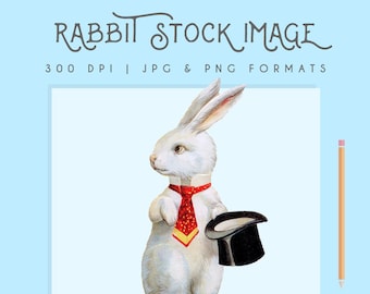 Vintage White Rabbit Easter Clip Art Stock Image Illustration Graphic 300dpi Digital Download