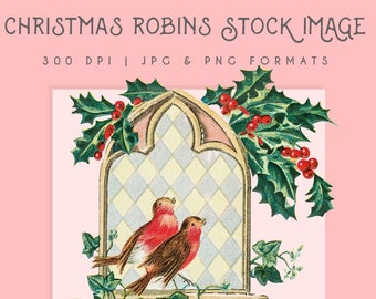 Christmas Robins Clipart image, Christmas graphic, Digital Download, Digital print, clip art, commericial use, scrapbooking, home decor