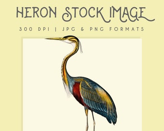 Clipart Heron Bird image, Digital Download, Wall Art, Heron Graphic, Instant Digital Download, home decor, commerical use, heron logo