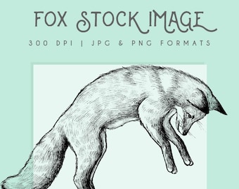 Fox clipart image, Instant Download, fox print, fox clip art, uso commerciale, home decor, scrapbooking, fox wall art, stampa in bianco e nero
