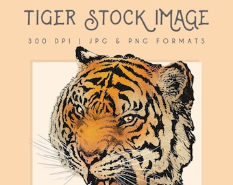 Tiger clipart image, Instant Download, tiger print, commercial use, home decor, scrapbooking, tiger wall art, Chinese new year